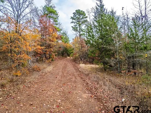 TBD N Hwy 259, Lone Star, TX 75668 - #3