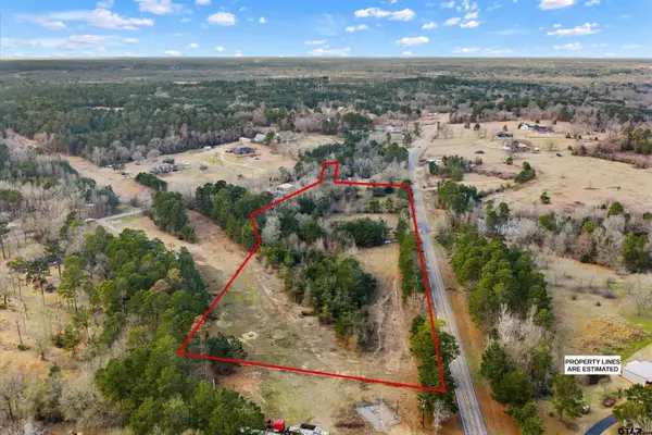 TBD FM 3310, Henderson, TX 75654