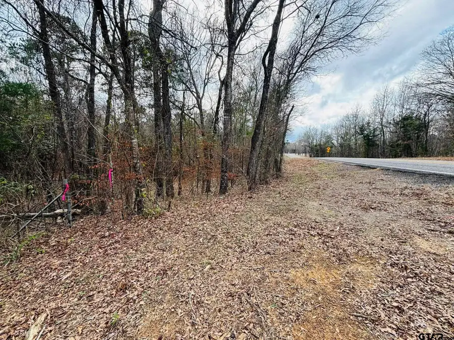 0 FM 49, Mineola, TX 75773 - #3