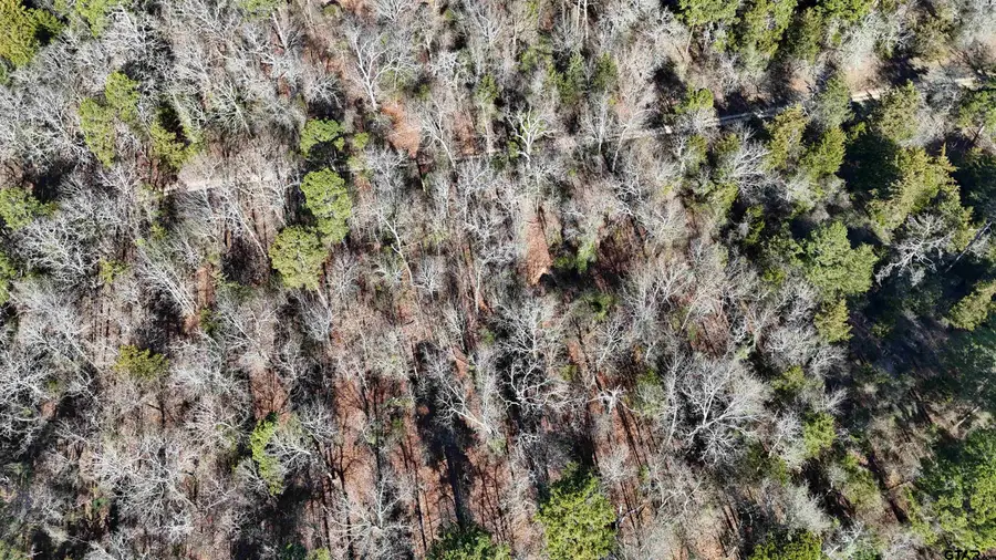 TBD King Harry Ct, Scroggins, TX 75480 - #3