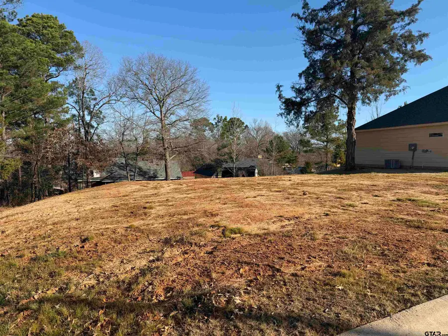 14104 Donna, Brownsboro, TX 75756 - #2