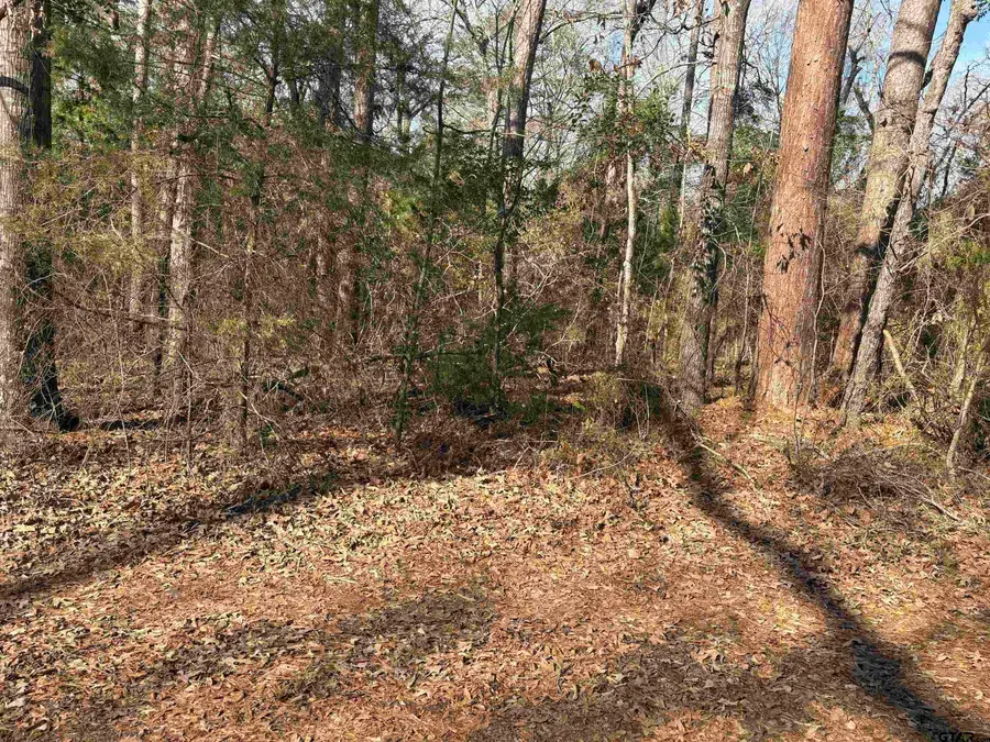 562 Brazos, Bullard, TX 75757 - #2