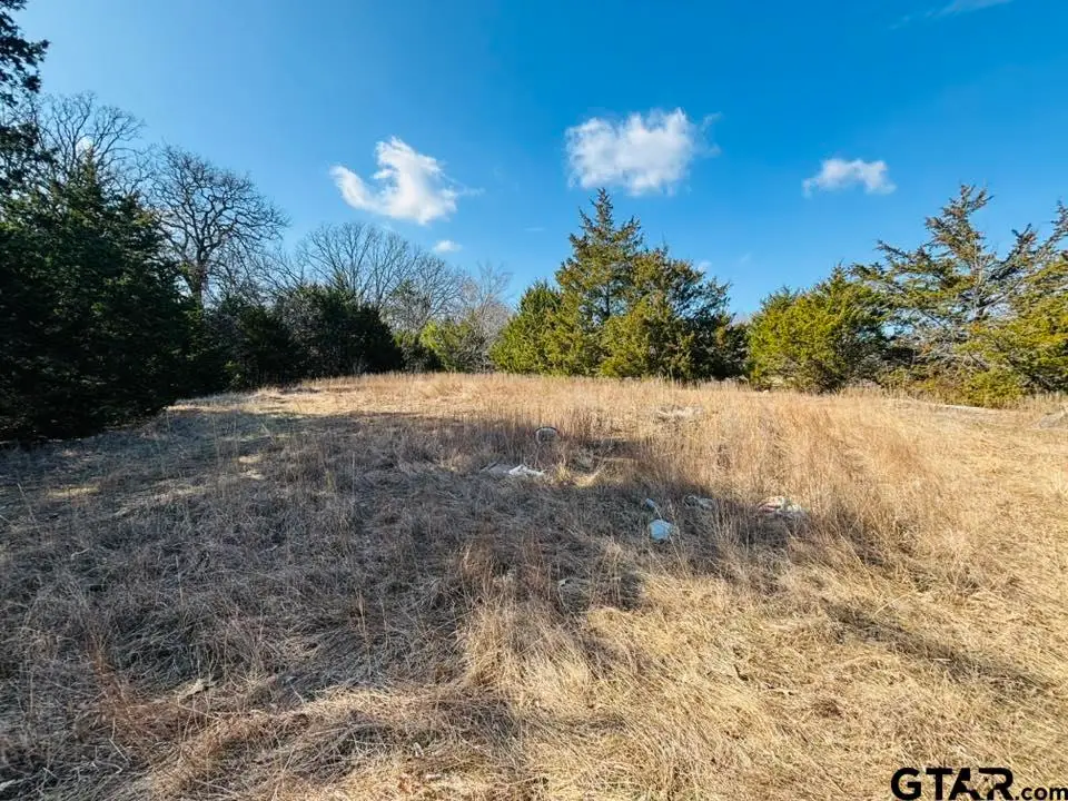 230 RS County Road 4252, Point, TX 75472 - Image #1