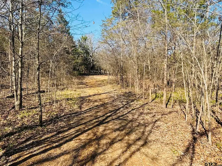 230 RS County Road 4252, Point, TX 75472 - Image #2