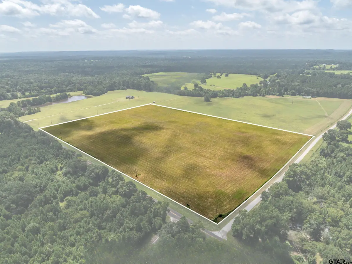 1420 ACR 379, Palestine, TX 75801 - #1