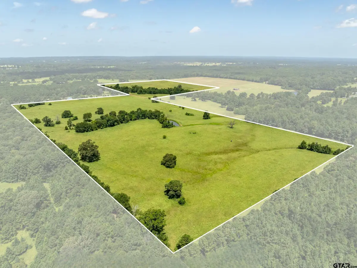 1044 ACR 379, Palestine, TX 75801 - #1