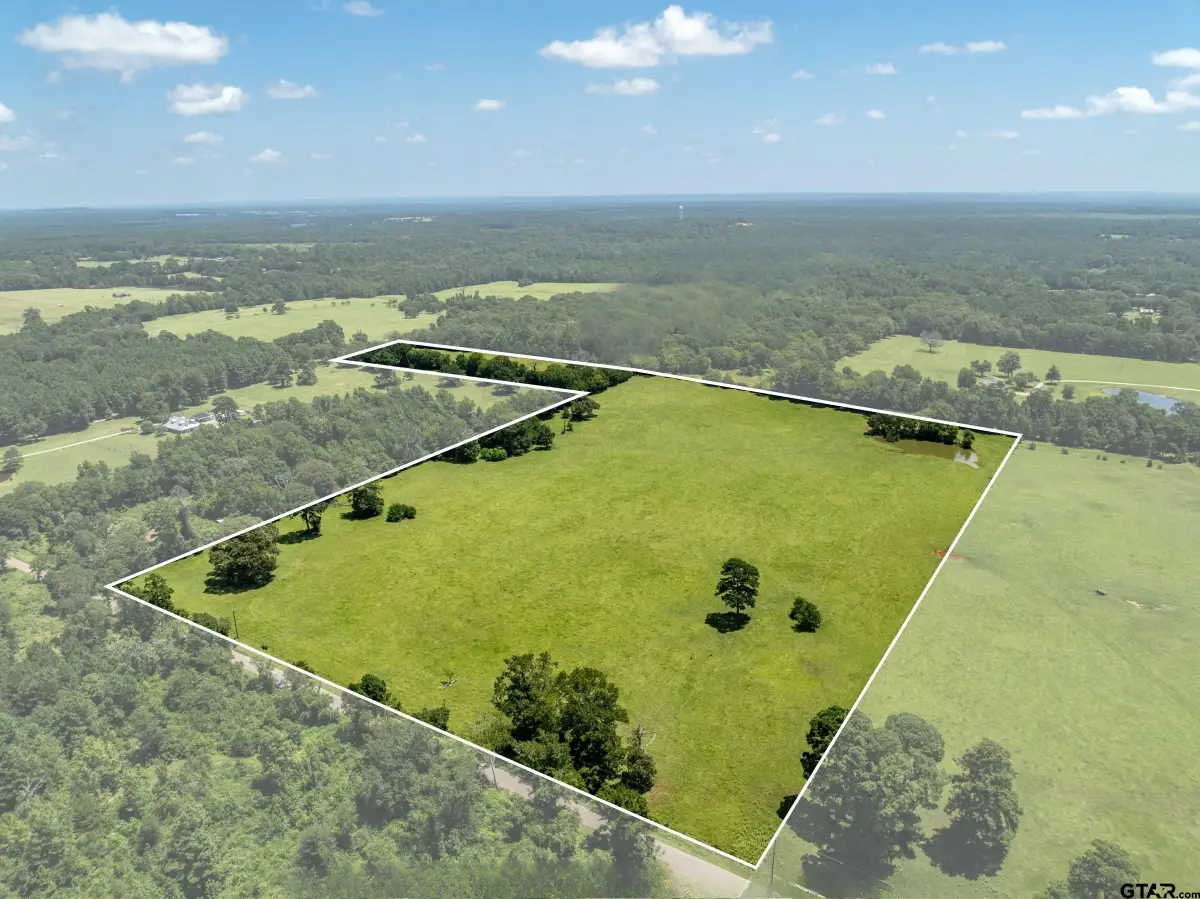592 ACR 379, Palestine, TX 75801 - #1