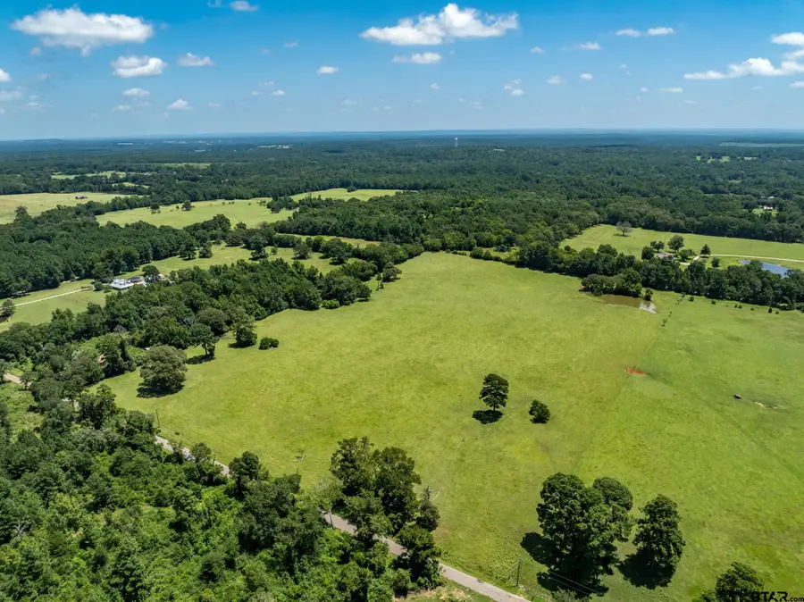 592 ACR 379, Palestine, TX 75801 - #2