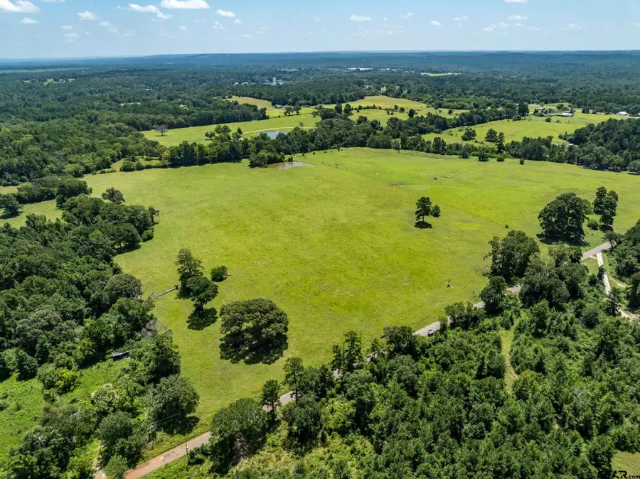 592 ACR 379, Palestine, TX 75801 - #3