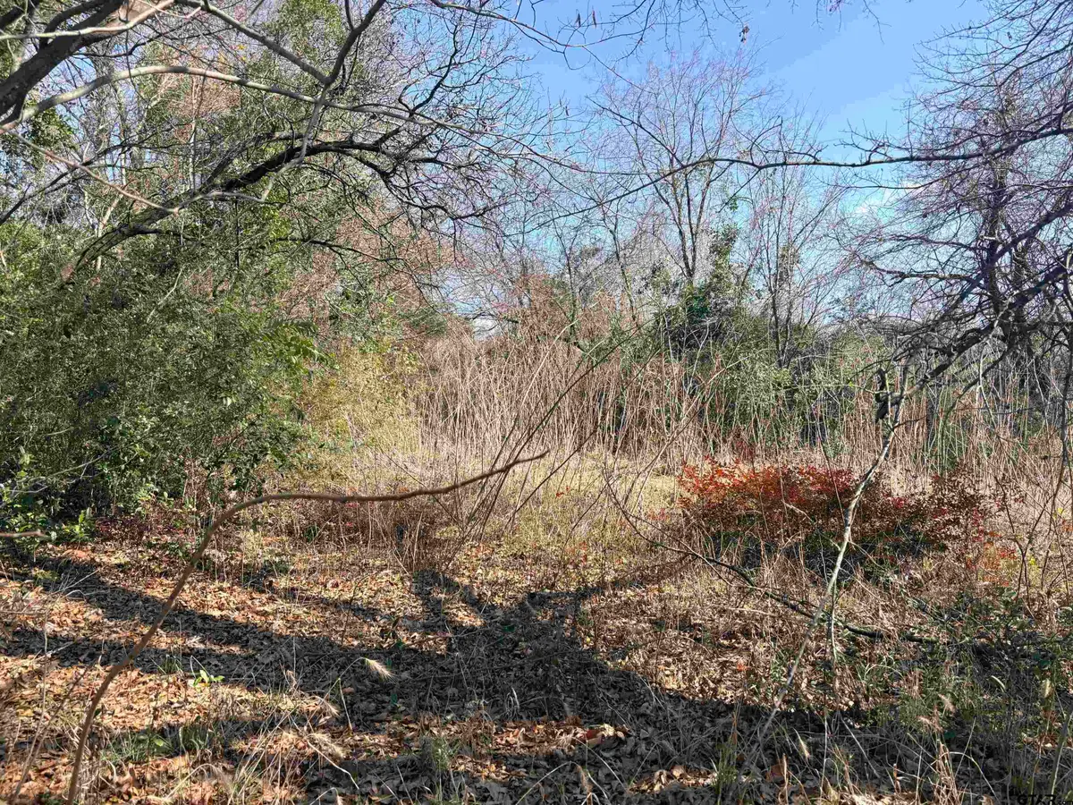 1403 N Whitten, Tyler, TX 75702 - Image #1