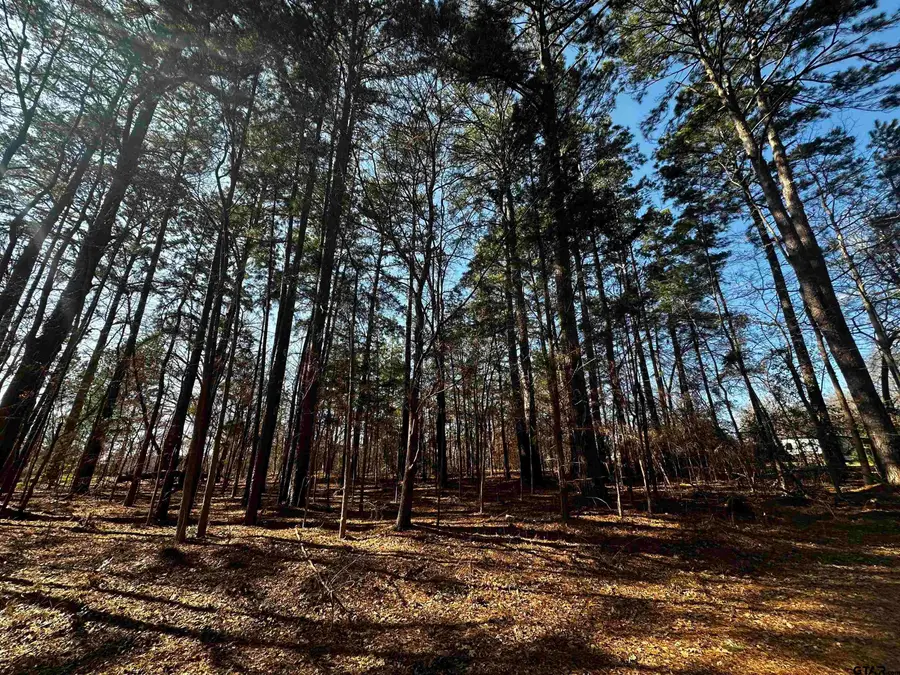 163 San Marcos, Bullard, TX 75757 - #2