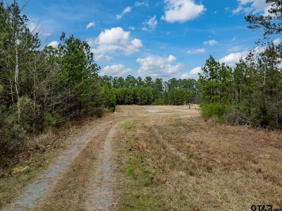 TBD Leisure Ln, Waskom, TX 75692 - #3