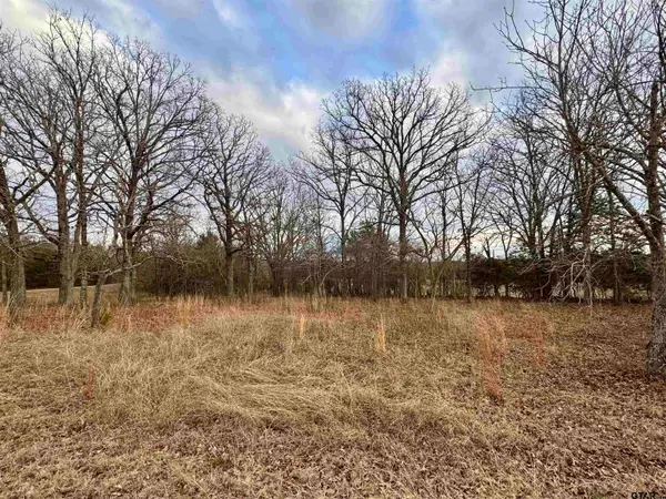 198 Co Rd 4810, Ben Wheeler, TX 75754