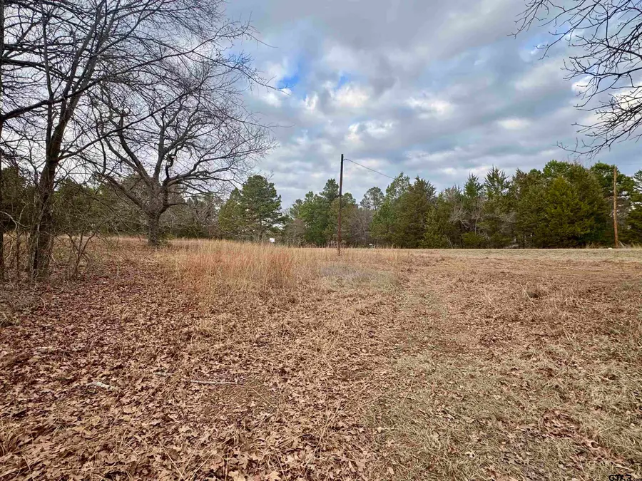198 Co Rd 4810, Ben Wheeler, TX 75754 - #3