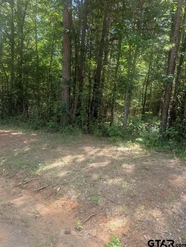 0 Yates St, Hawkins, TX 75765