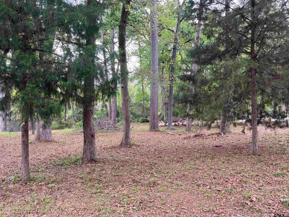 lot 5 Lakeview Dr., Bullard, TX 75757 - #1
