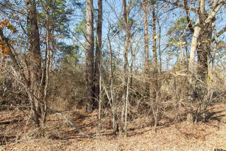 TBD VZ CR 4810, Ben Wheeler, TX 75754 - #2