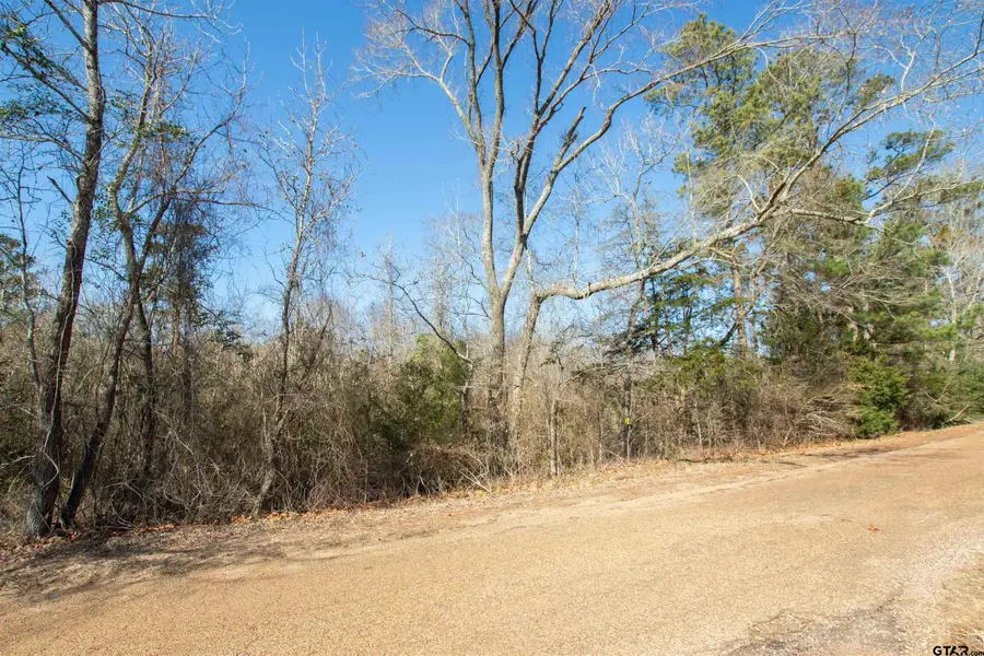 TBD VZ CR 4810, Ben Wheeler, TX 75754 - #3