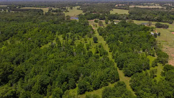 TBD Cr 1450, Mt Pleasant,  75455