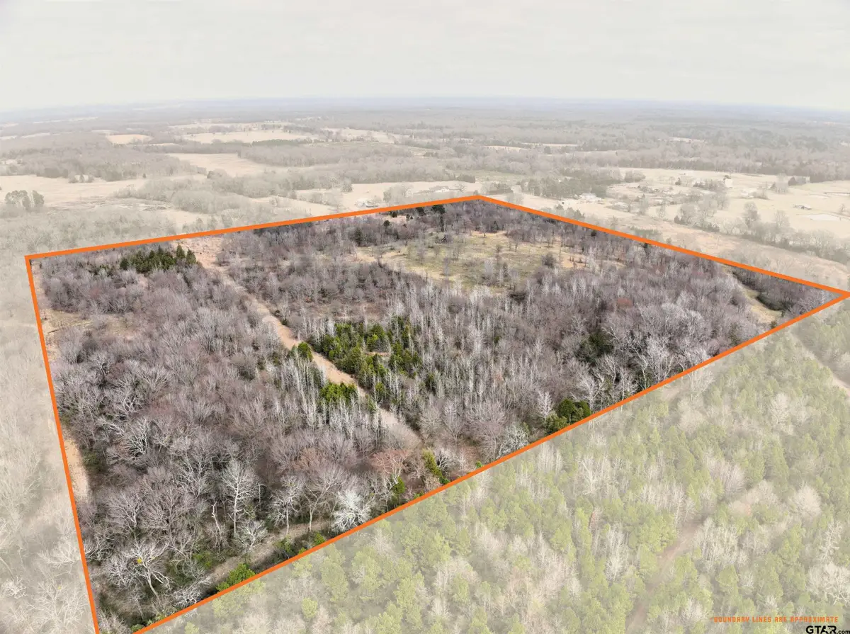 TBD CR 1450, Mount Pleasant, TX 75455 - #1