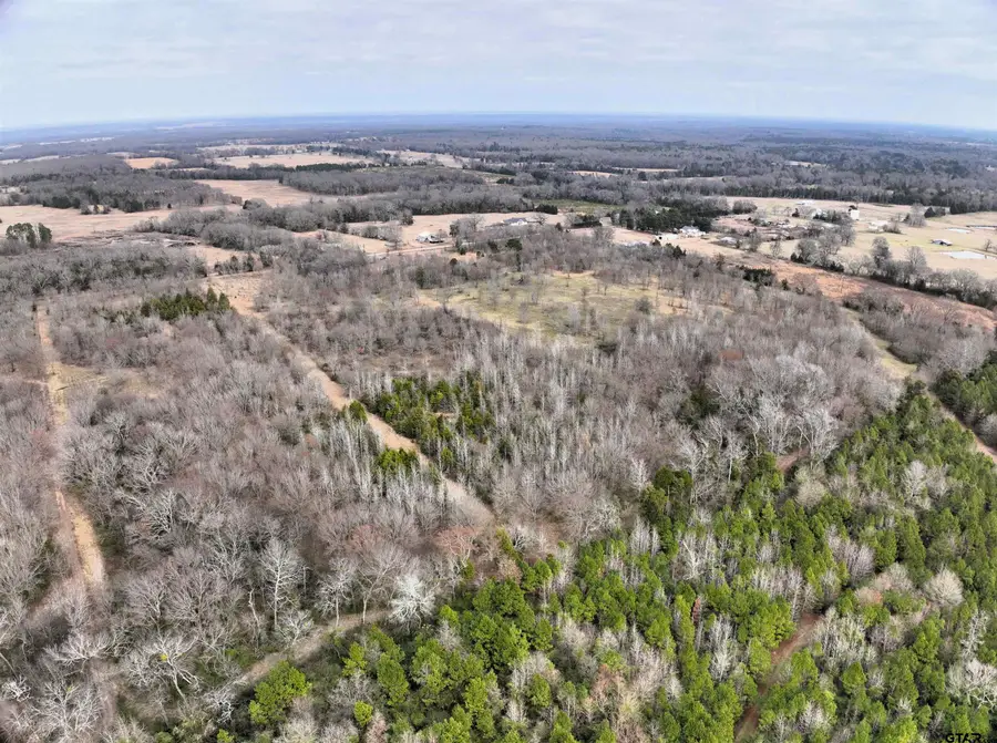 TBD CR 1450, Mount Pleasant, TX 75455 - #2