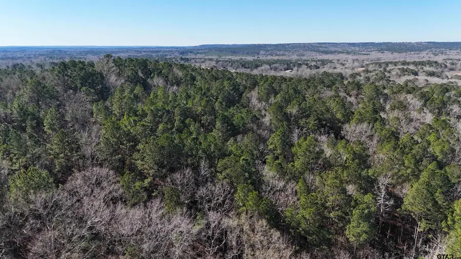 000 Hwy 84, Rusk, TX 75785 - #3