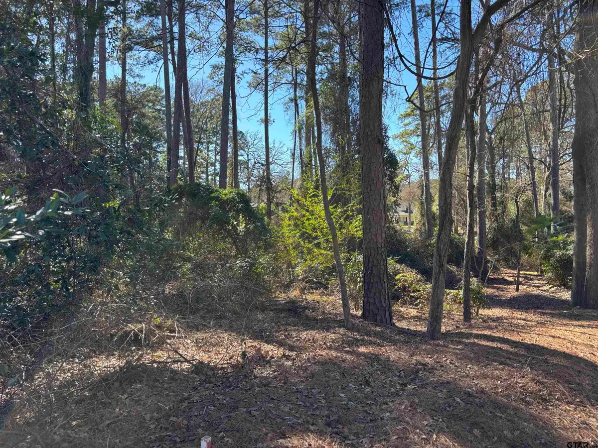 lot 17 Greenwood Trl, Bullard, TX 75757 - #1