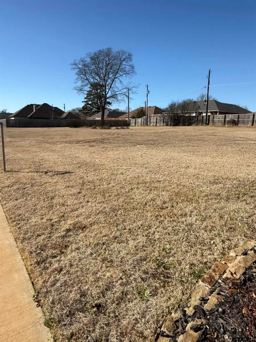 399 Maji Rd, Whitehouse, TX 75791 - #3