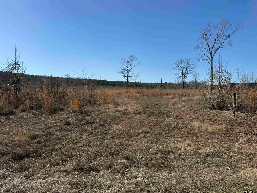 TBD CR 1110 - Tract 4, Rusk, TX 75785 - #3