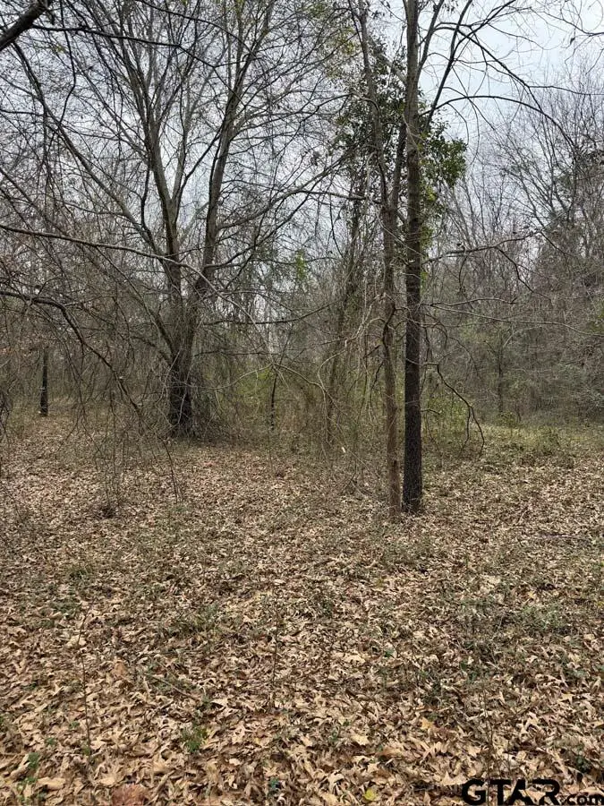 TBD FM 16, Lindale, TX 75771 - #3