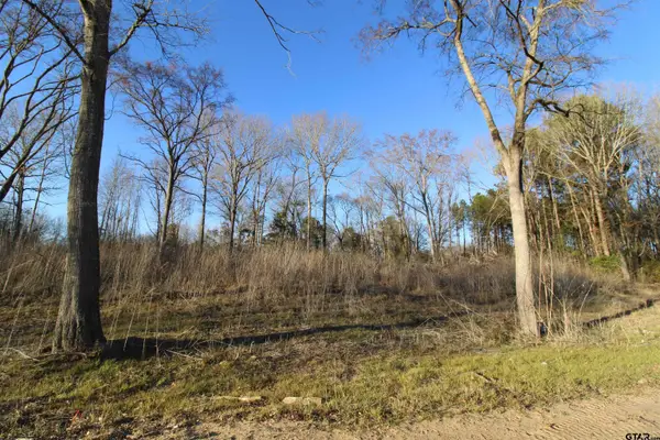 6642 County Road 488, Tyler, TX 75706