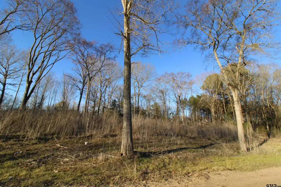 6642 County Road 488, Tyler, TX 75706 - Image #2