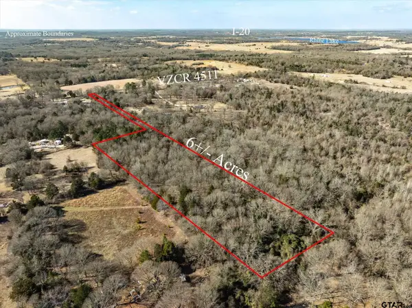 TBD VZ County Road 4511, Ben Wheeler, TX 75754