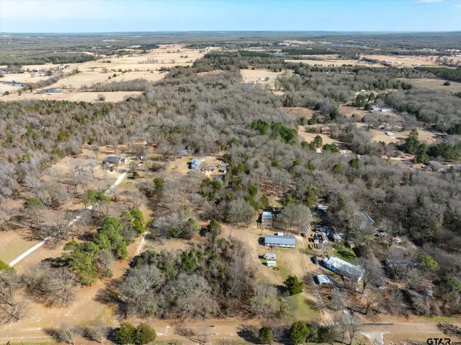 TBD VZ County Road 4511, Ben Wheeler, TX 75754 - #3