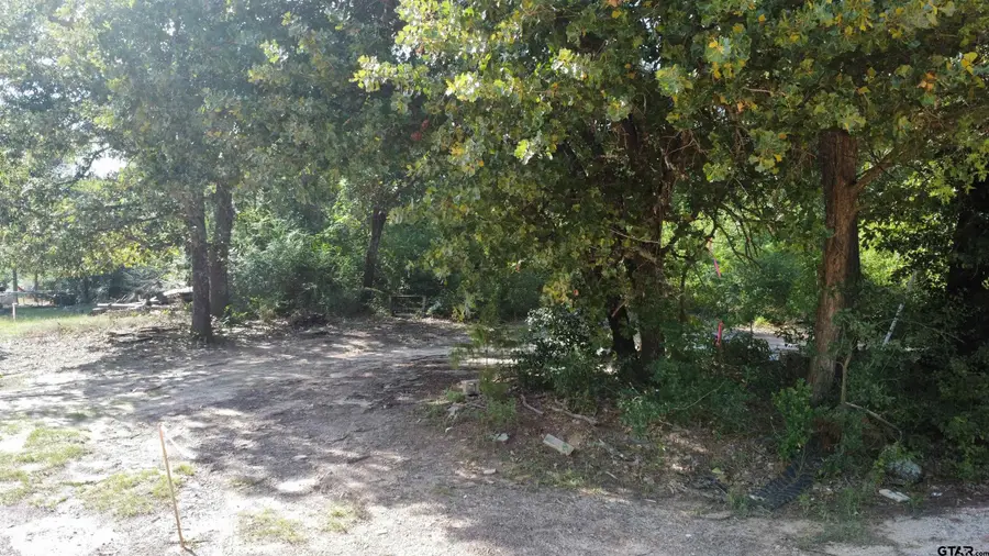 339 Fairway Ave, Tyler, TX 75702 - Image #3