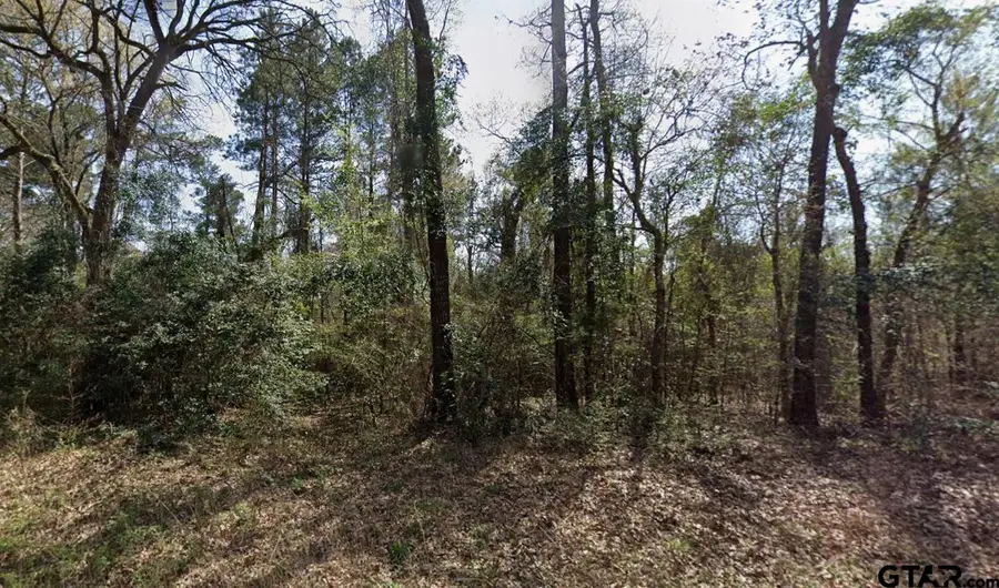 TBD Ashwood Dr. #Lot 205, Gilmer, TX 75645 - #3