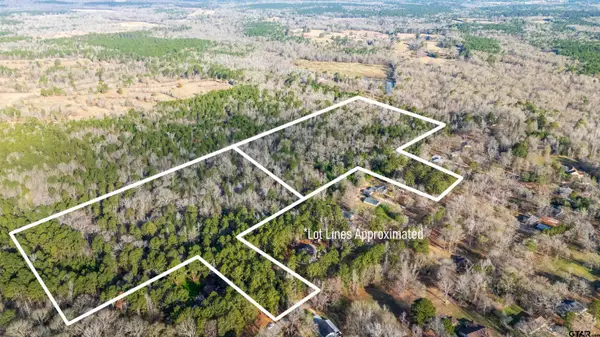 TBD Neches Trace (31.902 Acres inclu lot 8 and lot 14), Palestine, TX 75803