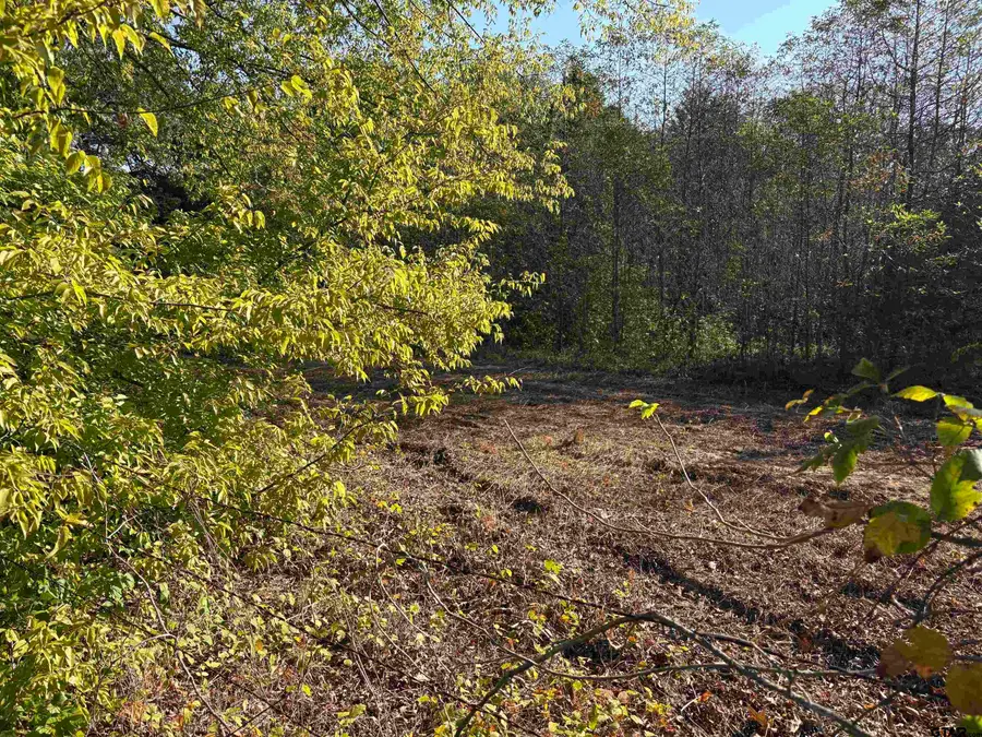 TBD FM 607, Brownsboro, TX 75756 - #3