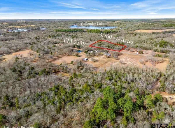 Lot 20,21,22 Fm 2339 Callender Lake, Murchison,  75778