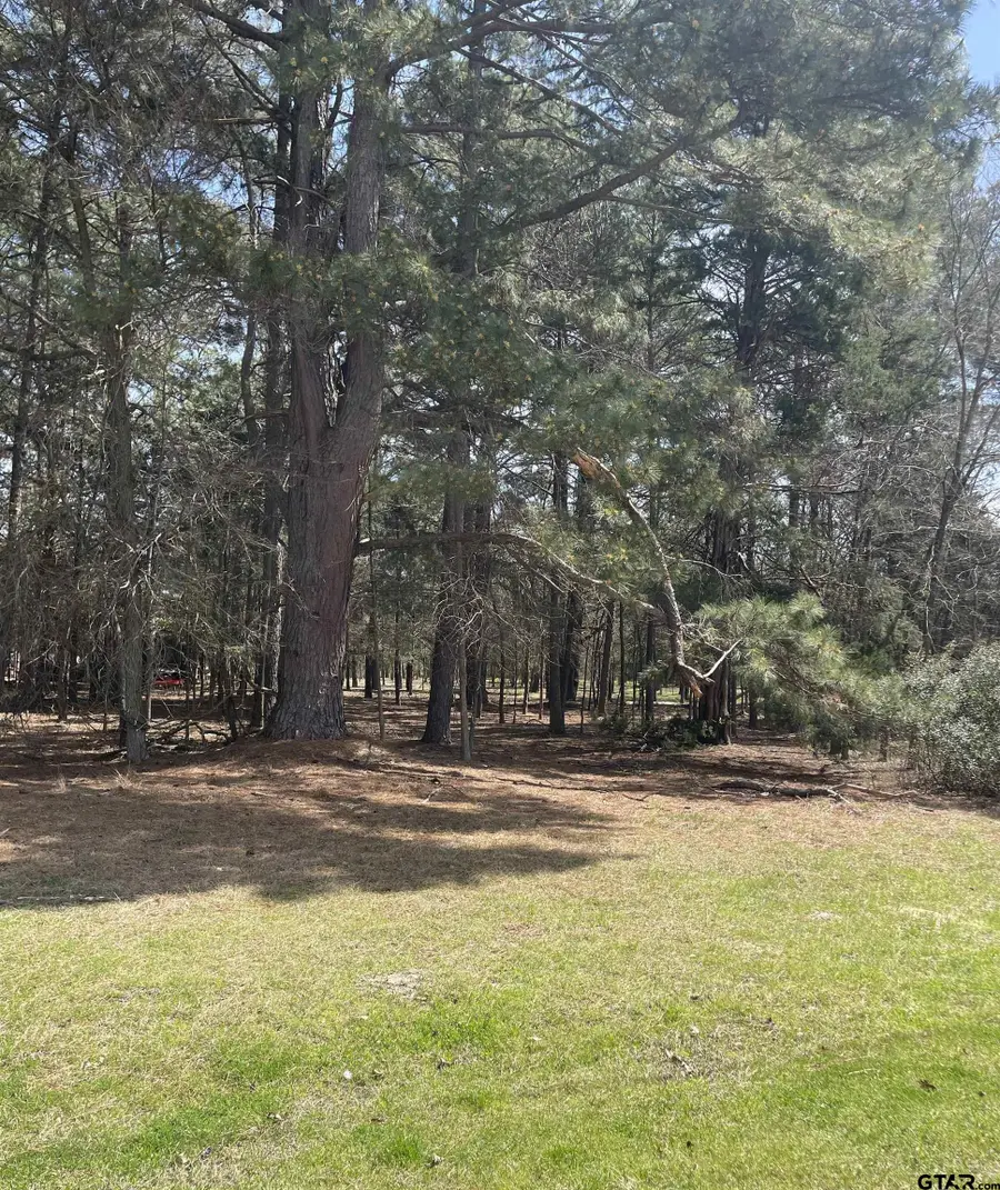 TBD Cr 2432, Pittsburg, TX 75686 - #2