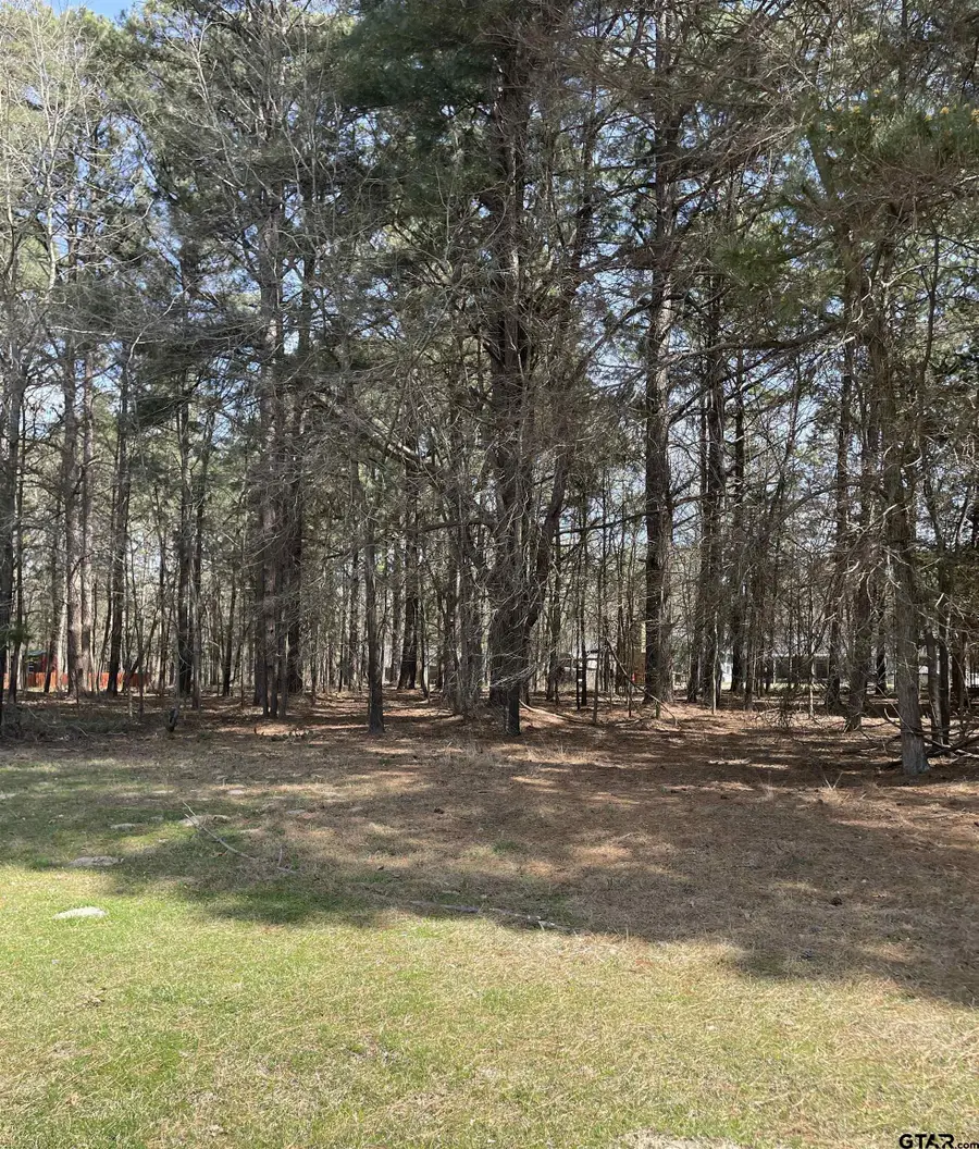 TBD Cr 2432, Pittsburg, TX 75686 - #3