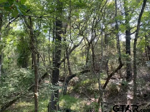 TBD CR 41514, Athens, TX 75751