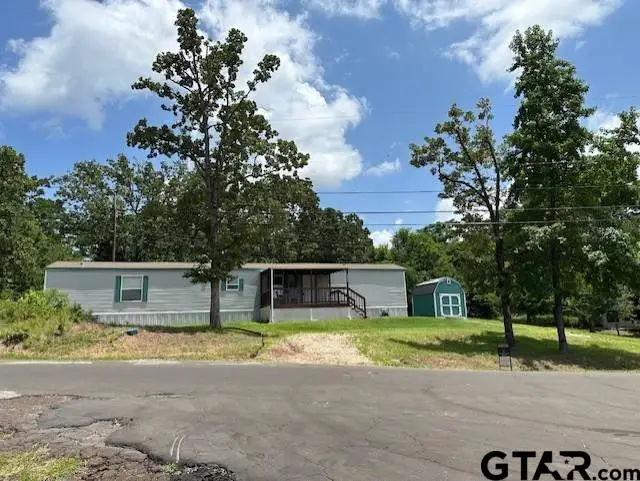 17323 Lakeview Dr, Flint, TX 75762 - #1