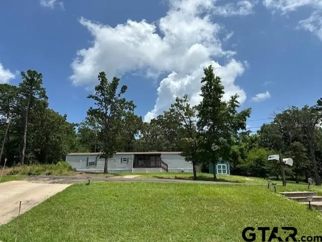 17323 Lakeview Dr, Flint, TX 75762 - #2