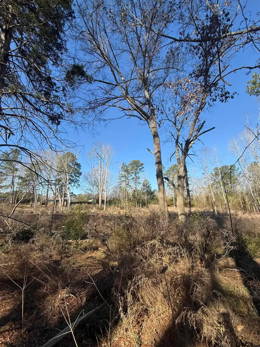 513 E State Highway 323, Overton, TX 75684 - #3