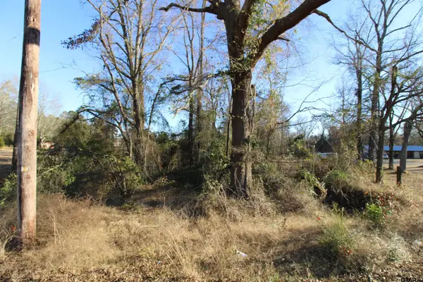 16500 C R 384, Tyler, TX 75708