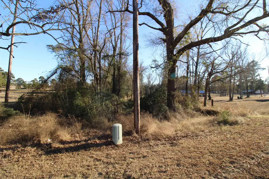 16500 C R 384, Tyler, TX 75708 - Image #2