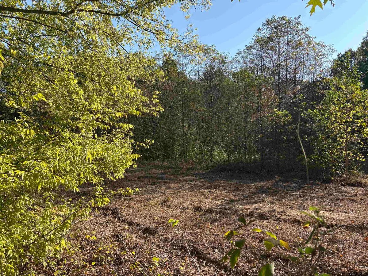 TBD FM 607, Brownsboro, TX 75756 - #1