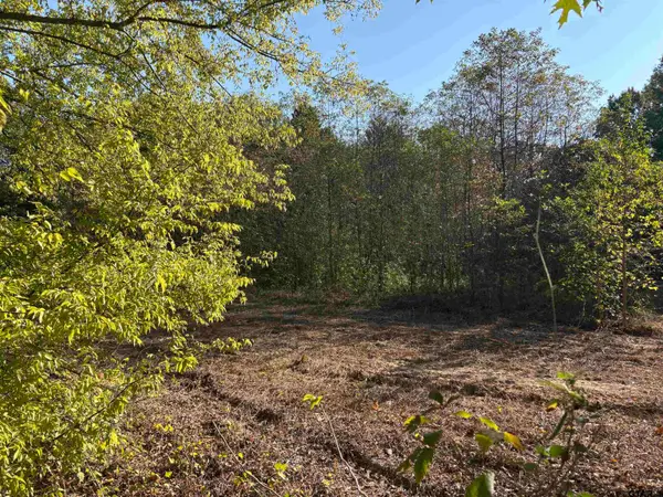 TBD FM 607, Brownsboro, TX 75756