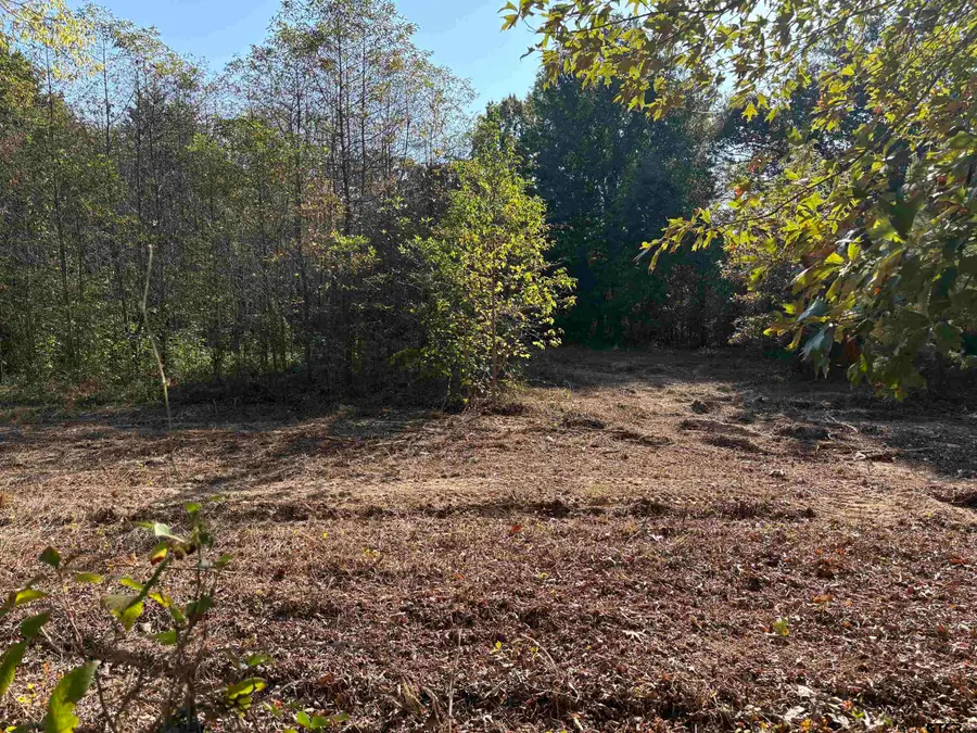 TBD FM 607, Brownsboro, TX 75756 - #2